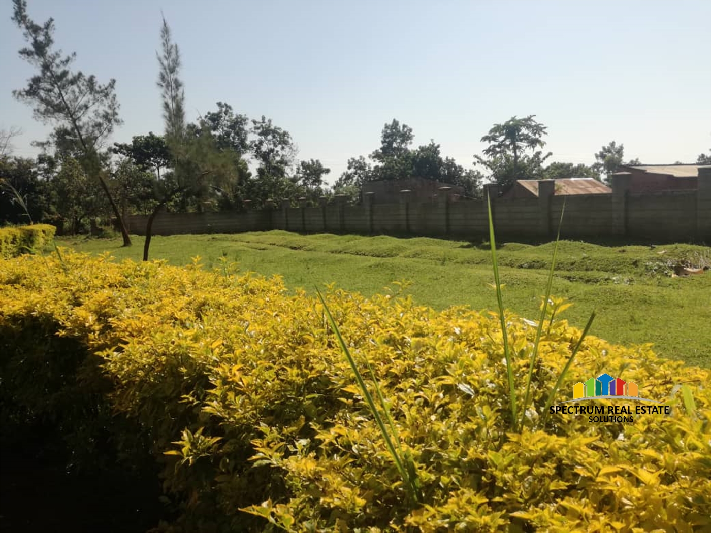 School for sale in Busia Busia