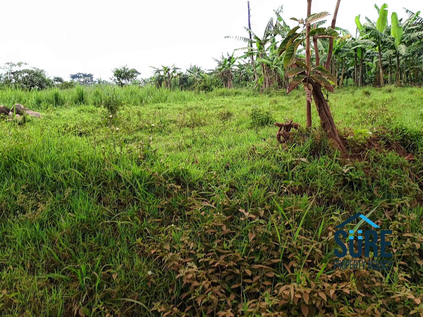 Commercial Land for sale in Nsasa Wakiso