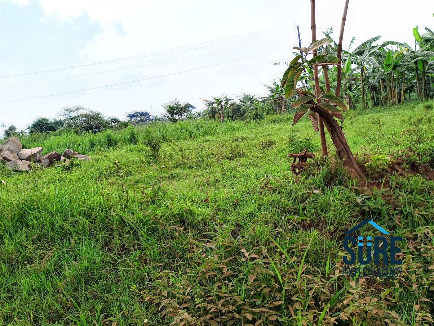 Commercial Land for sale in Nsasa Wakiso