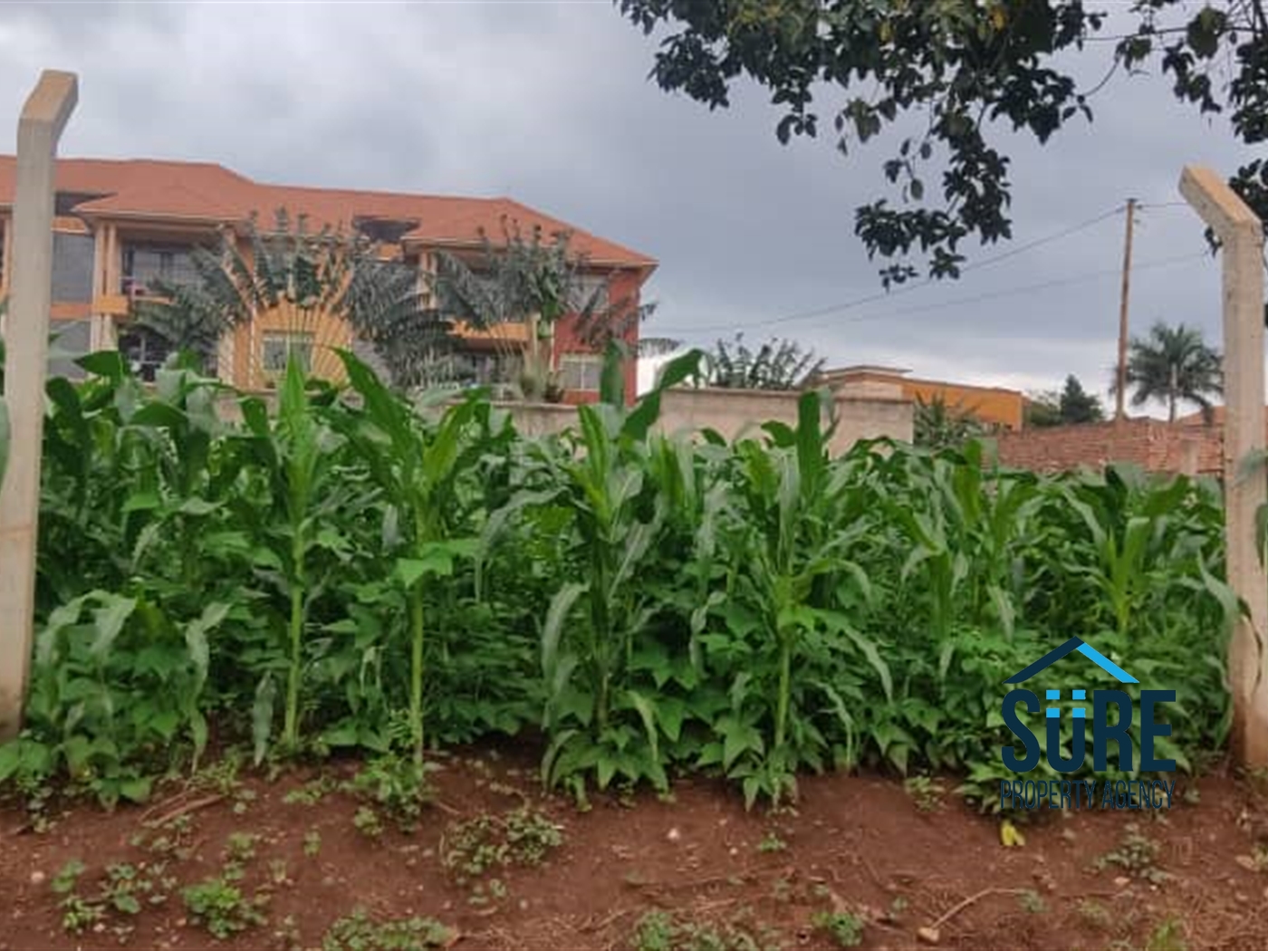 Residential Land for sale in Najjera Wakiso