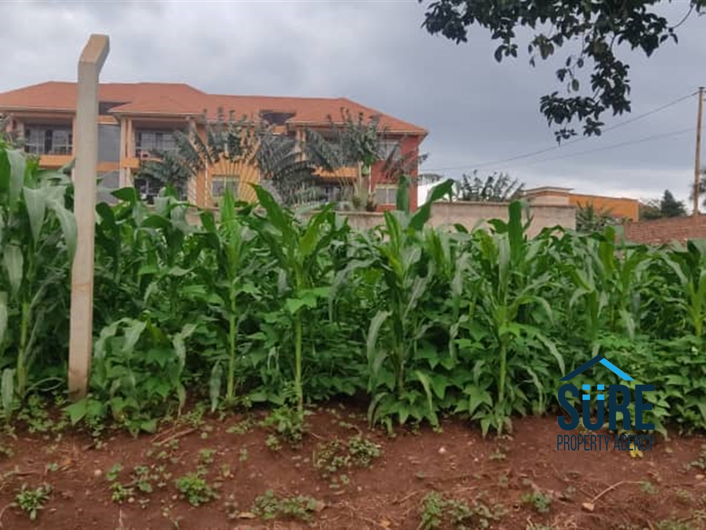 Residential Land for sale in Najjera Wakiso