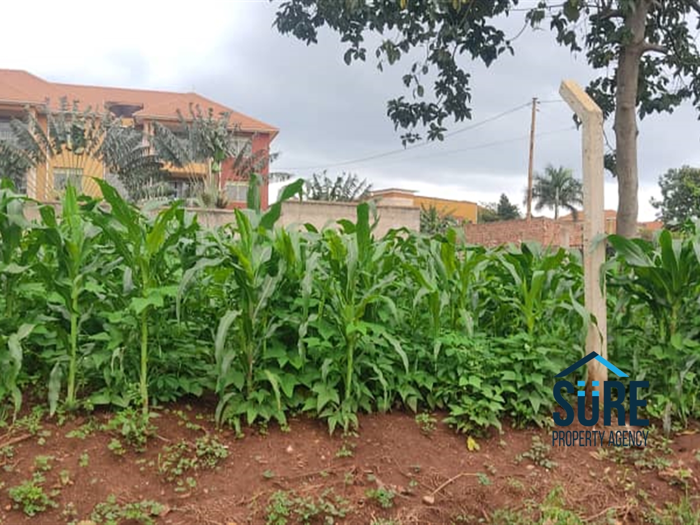 Residential Land for sale in Najjera Wakiso