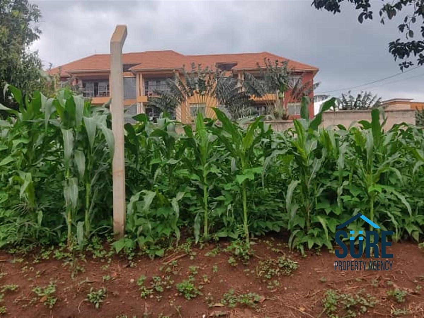 Residential Land for sale in Najjera Wakiso