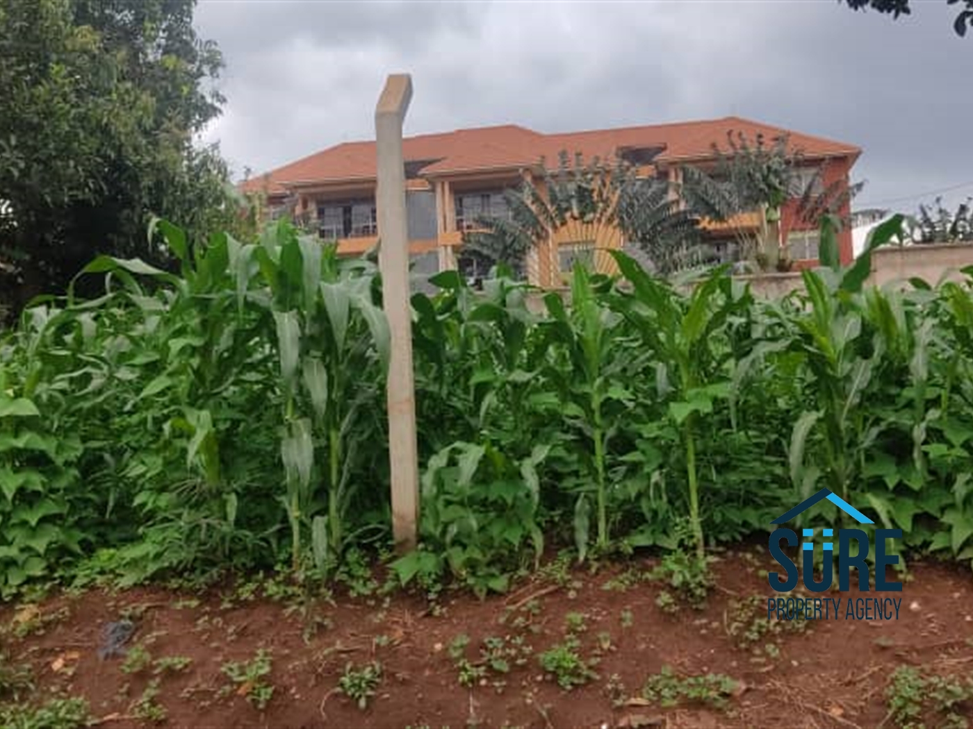 Residential Land for sale in Najjera Wakiso