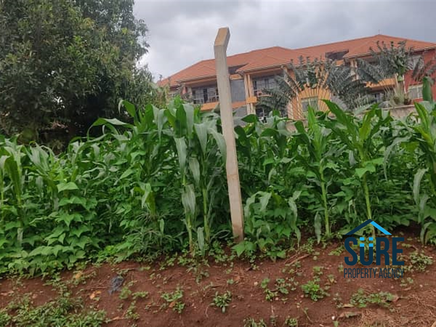 Residential Land for sale in Najjera Wakiso