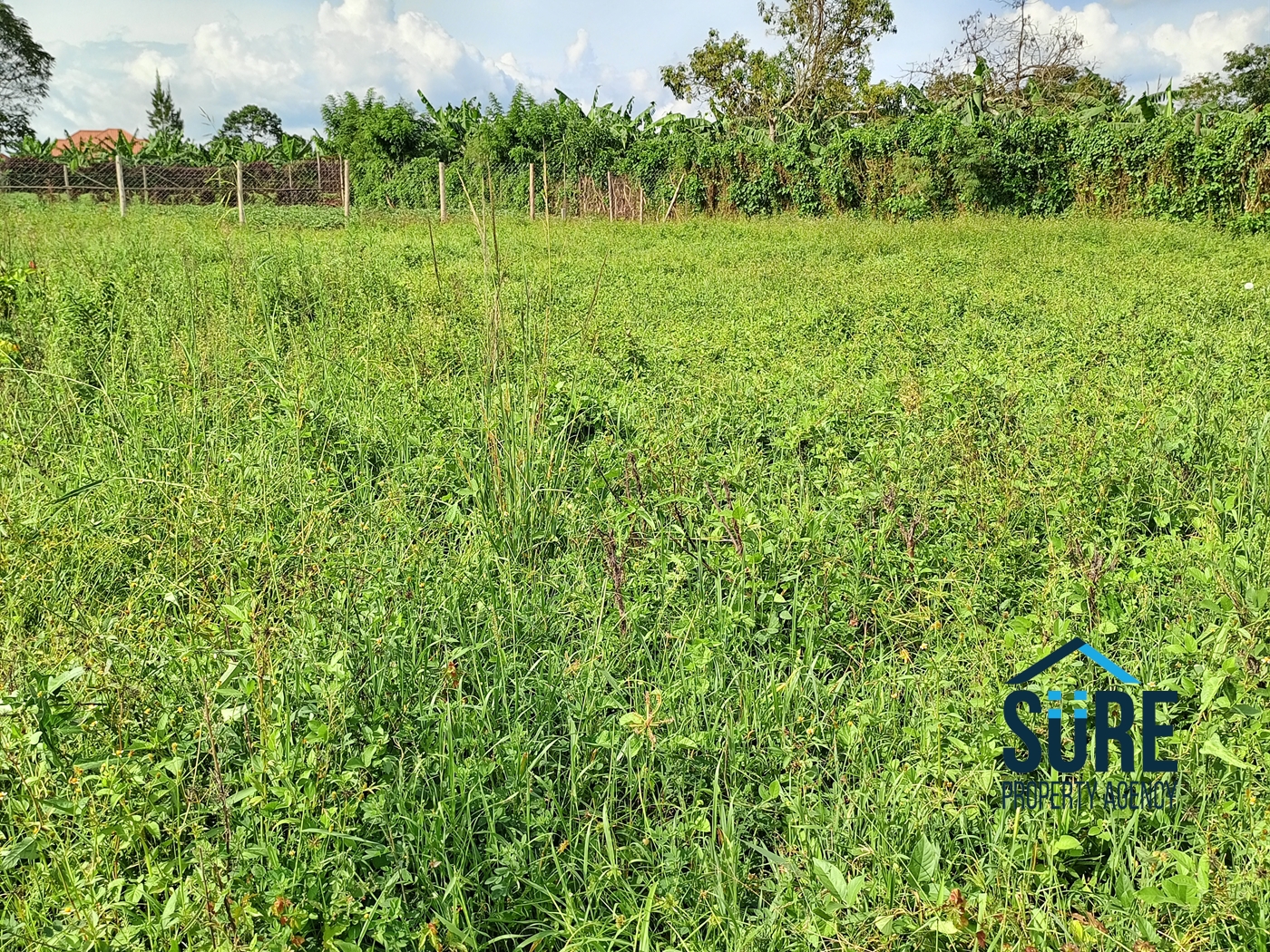 Residential Land for sale in Nakweelo Wakiso