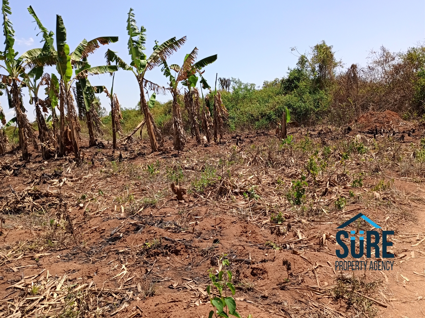 Residential Land for sale in Mboga Luweero