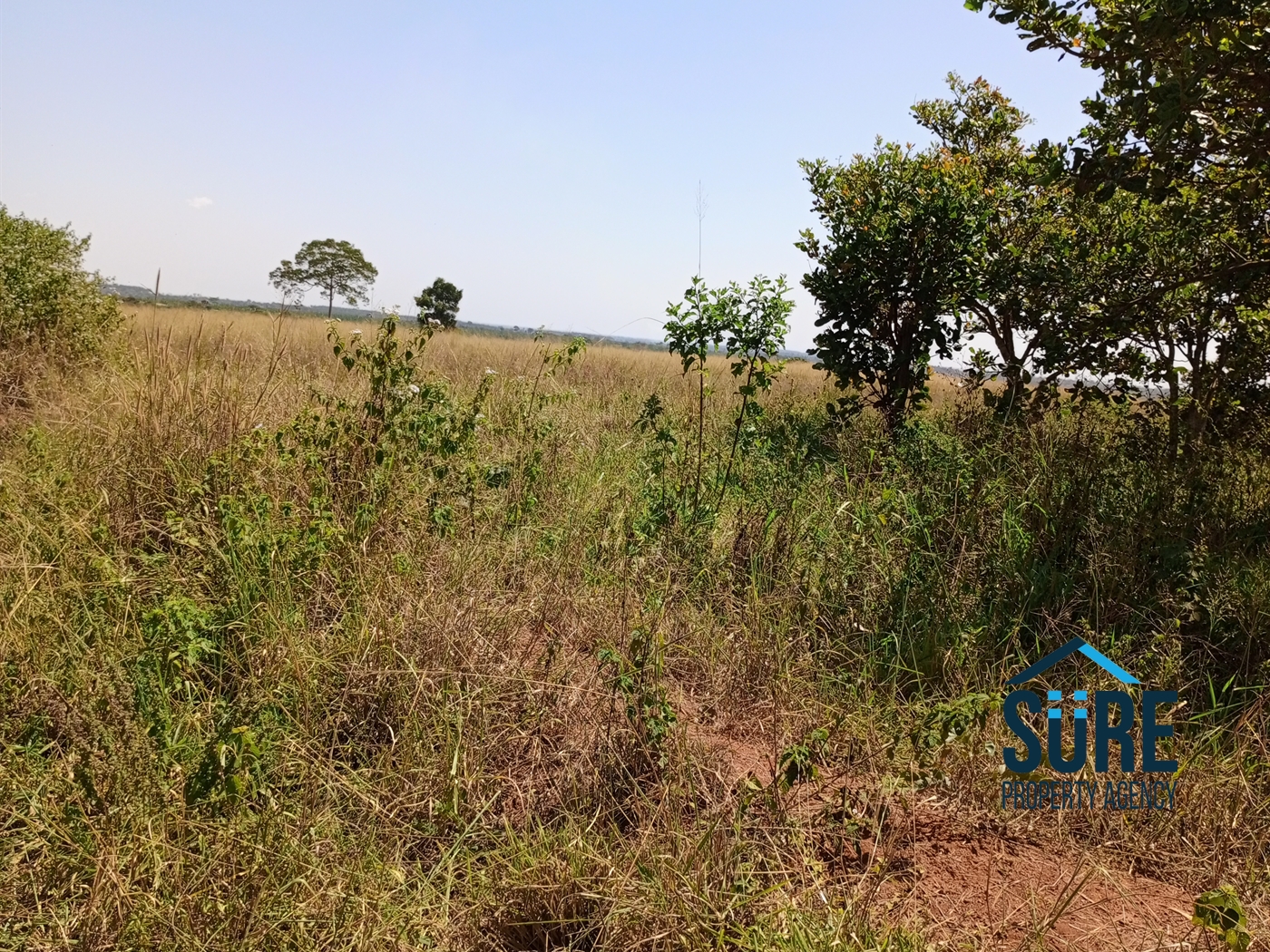 Residential Land for sale in Mboga Luweero