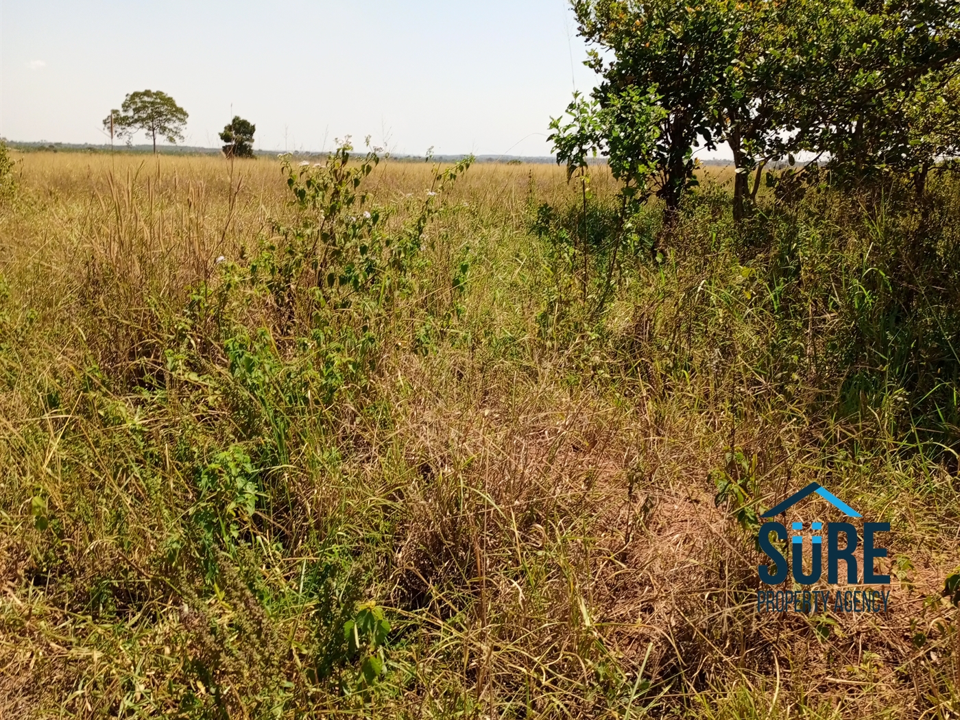 Residential Land for sale in Mboga Luweero