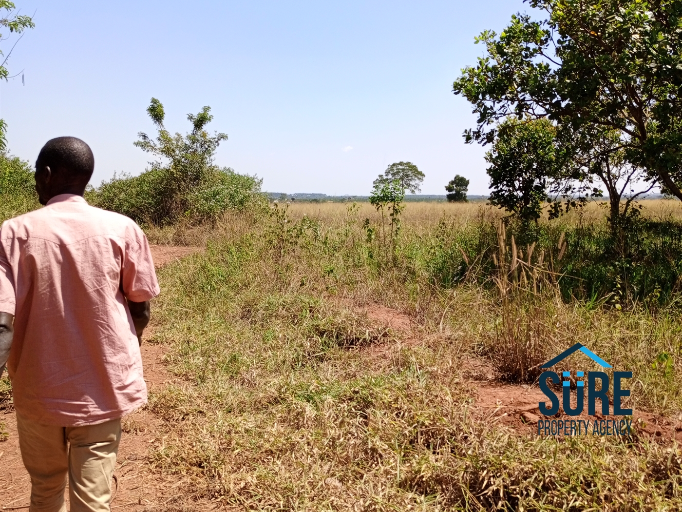 Residential Land for sale in Mboga Luweero