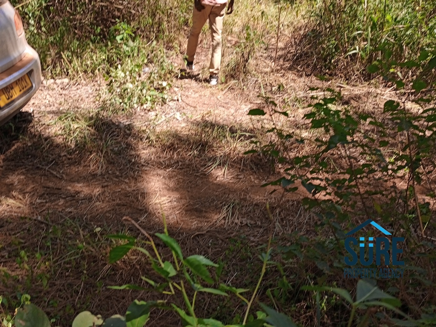 Residential Land for sale in Mboga Luweero