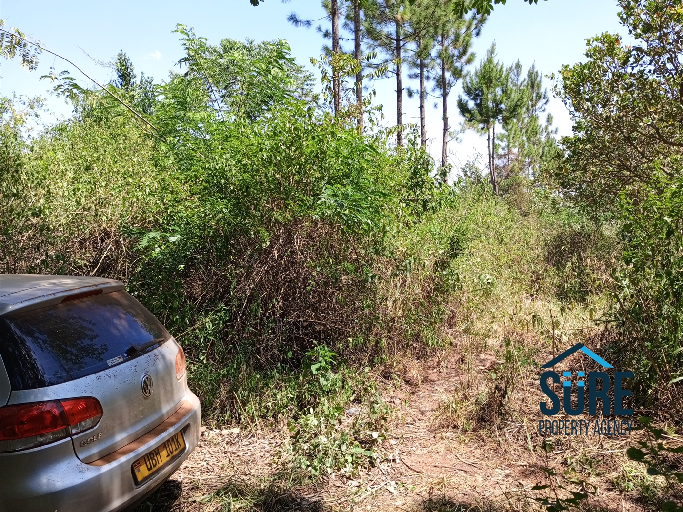 Residential Land for sale in Mboga Luweero