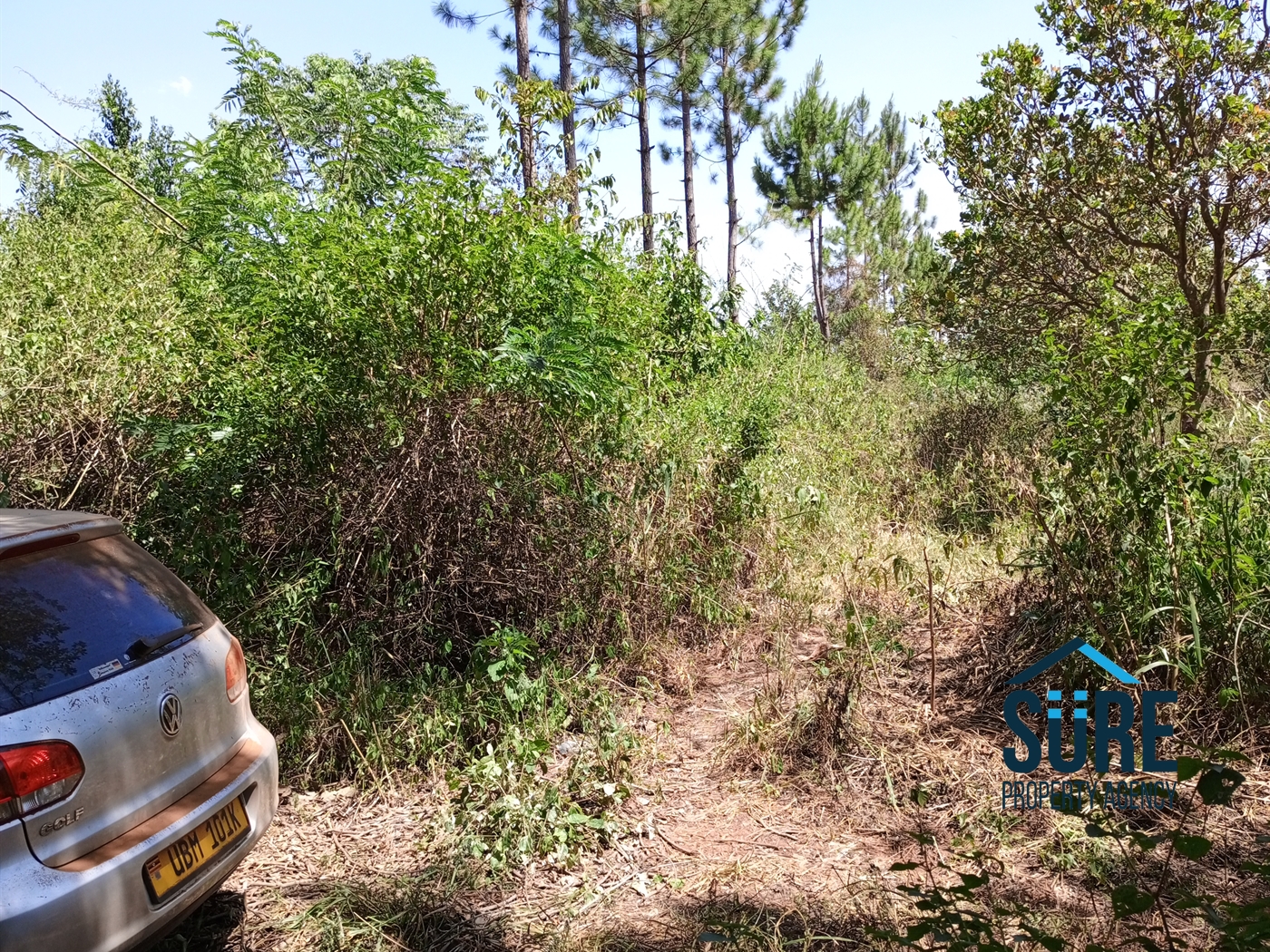 Residential Land for sale in Mboga Luweero