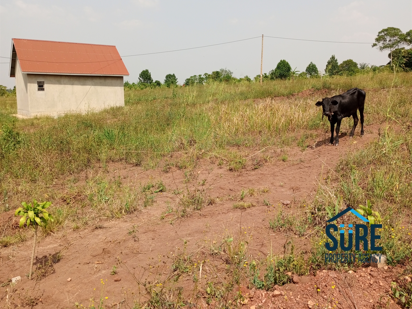 Residential Land for sale in Vvumba Luweero