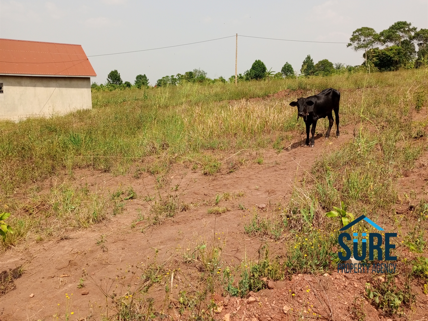 Residential Land for sale in Vvumba Luweero