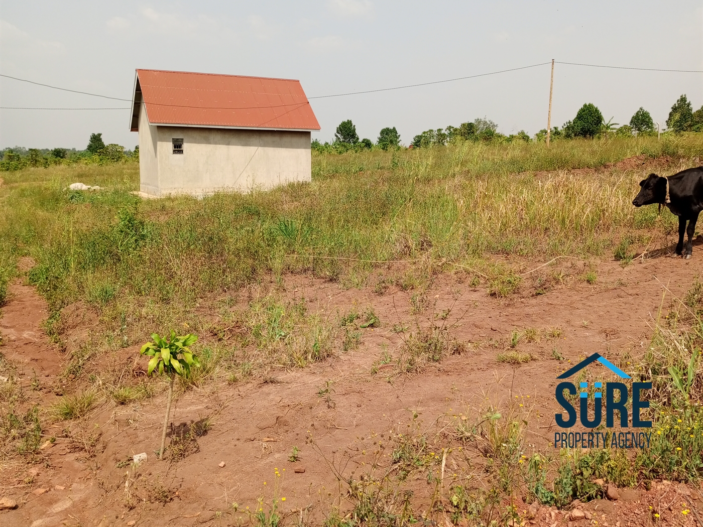 Residential Land for sale in Vvumba Luweero