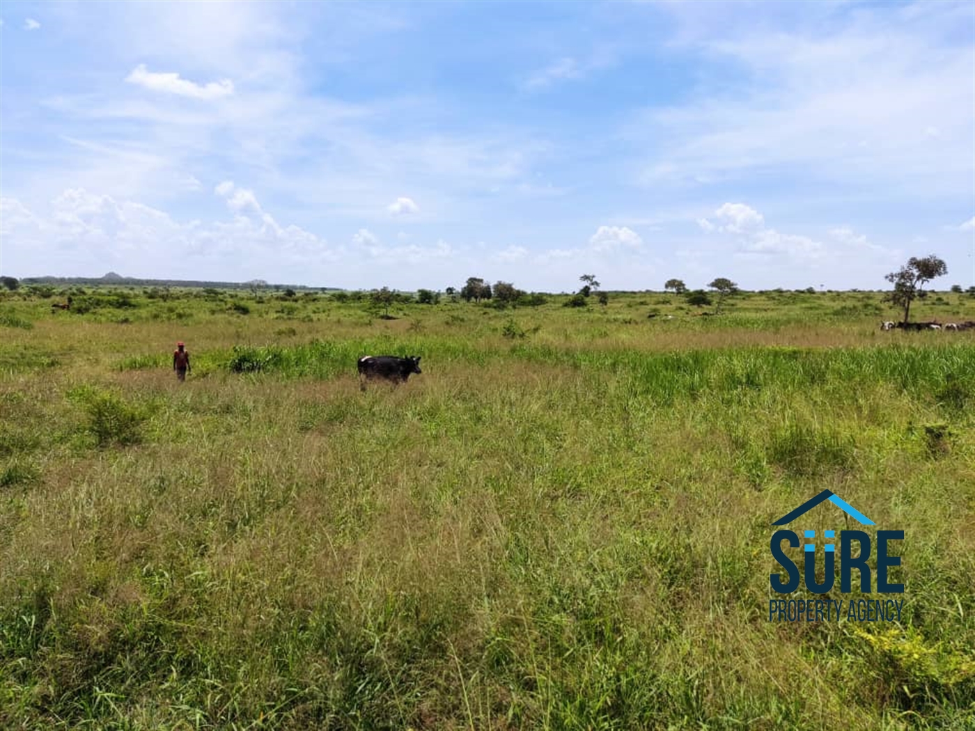 Recreational Land for sale in Kiryandondo Nakasongola