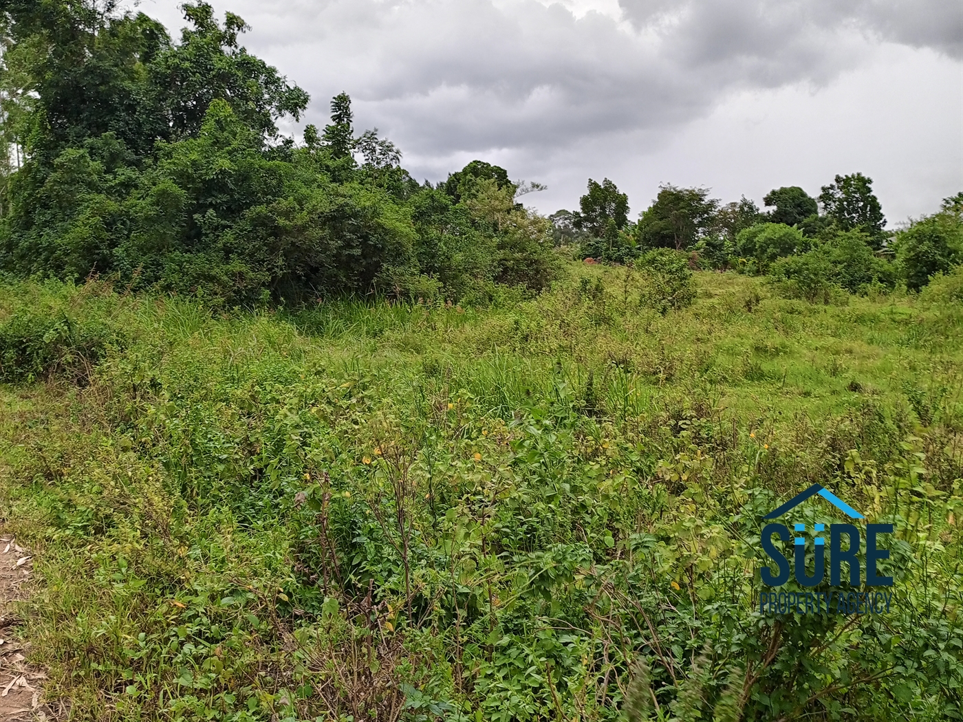 Residential Land for sale in Bulami Luweero