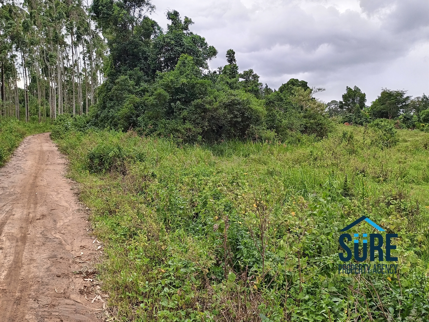 Residential Land for sale in Bulami Luweero