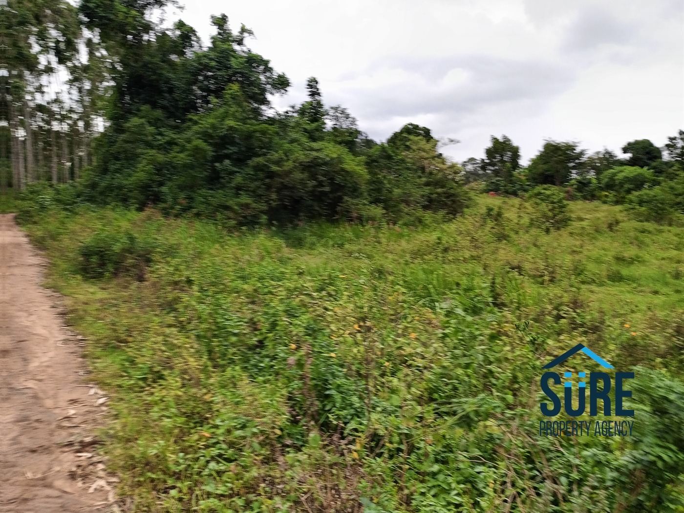 Residential Land for sale in Bulami Luweero