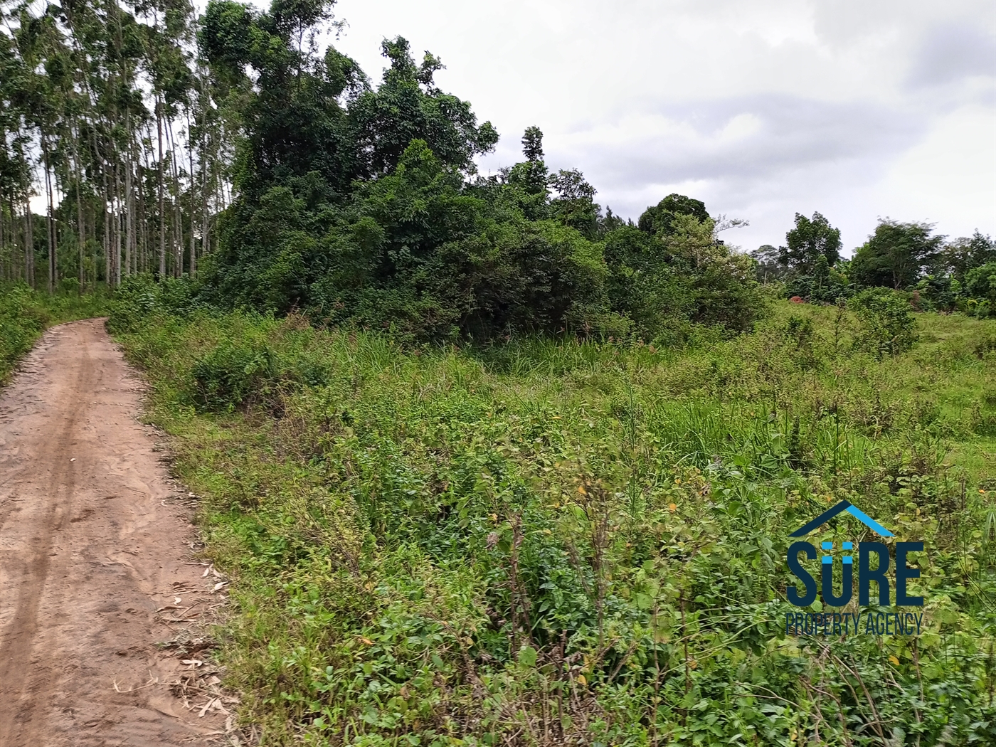 Residential Land for sale in Bulami Luweero