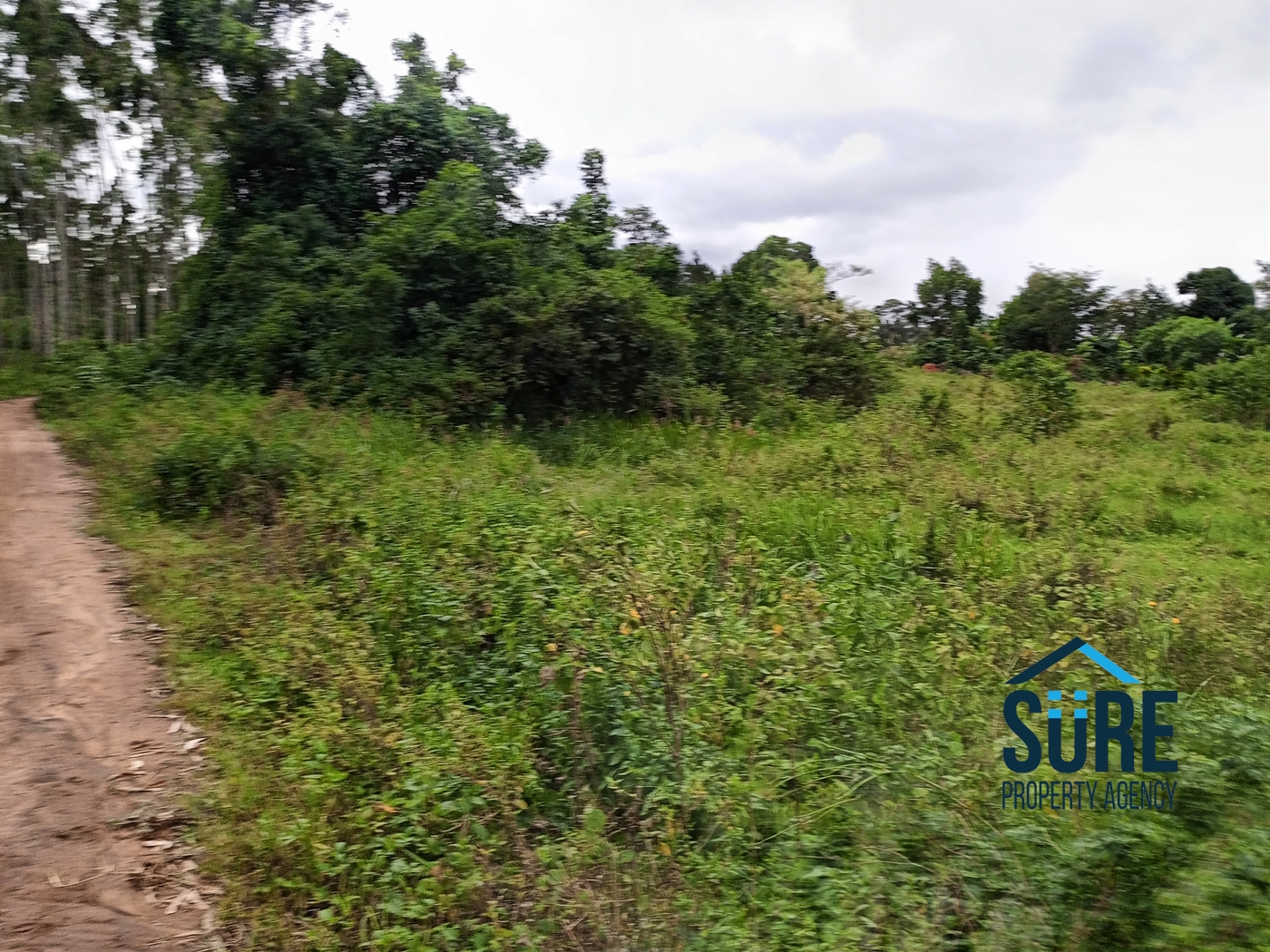 Residential Land for sale in Bulami Luweero