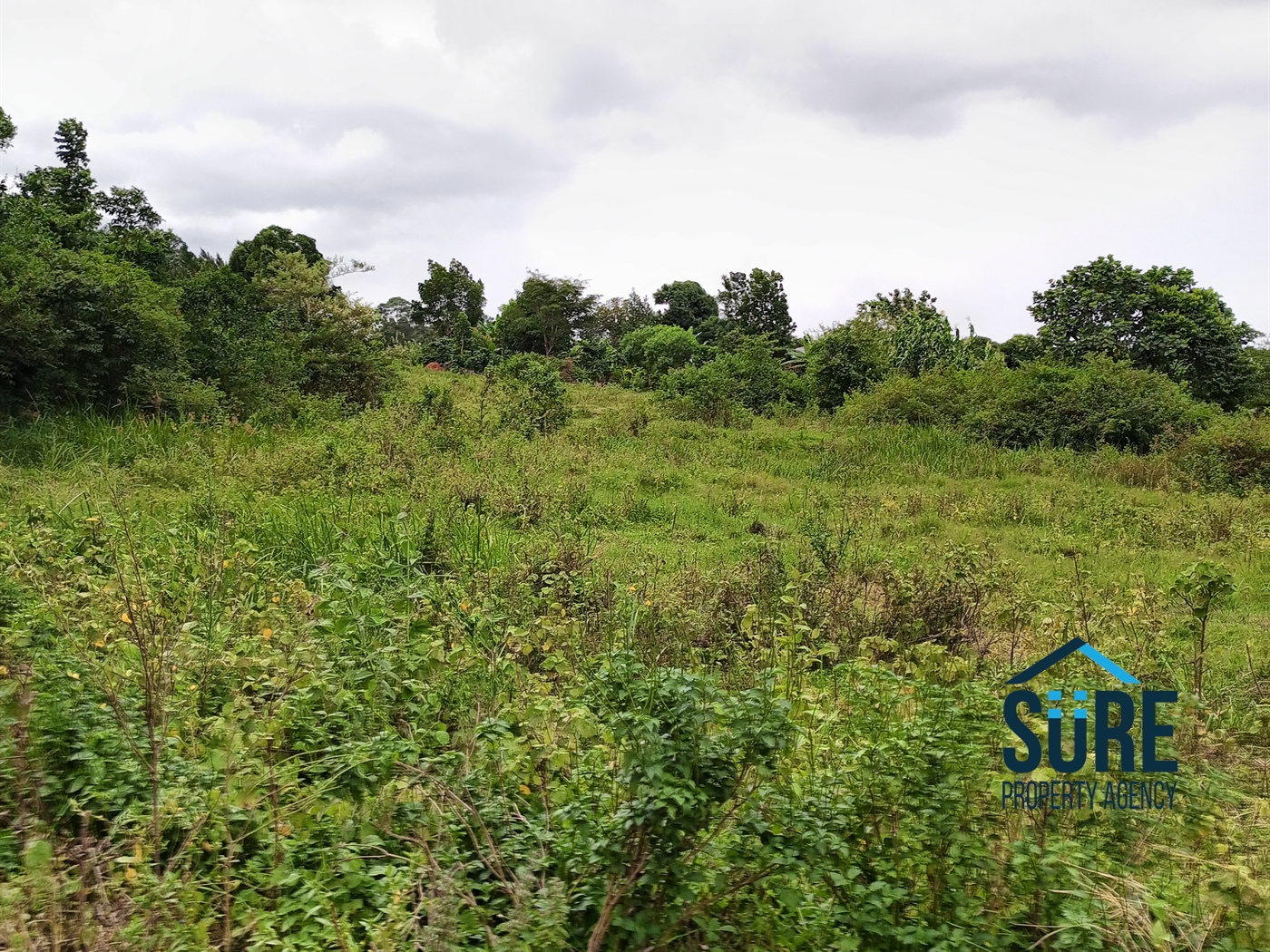 Residential Land for sale in Bulami Luweero