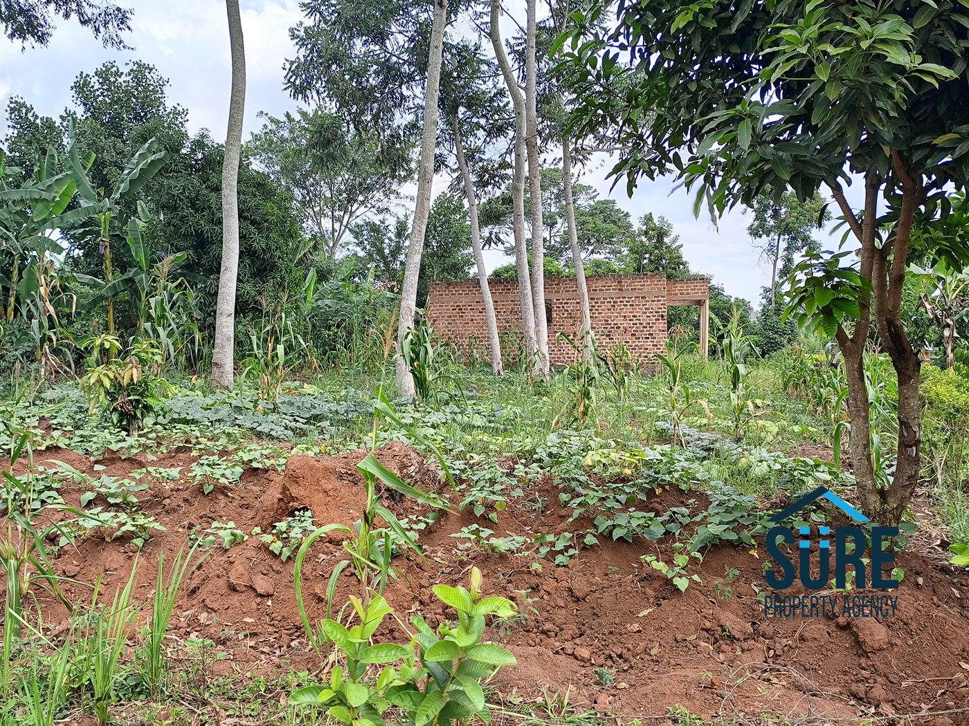 Commercial Land for sale in Bulami Luweero