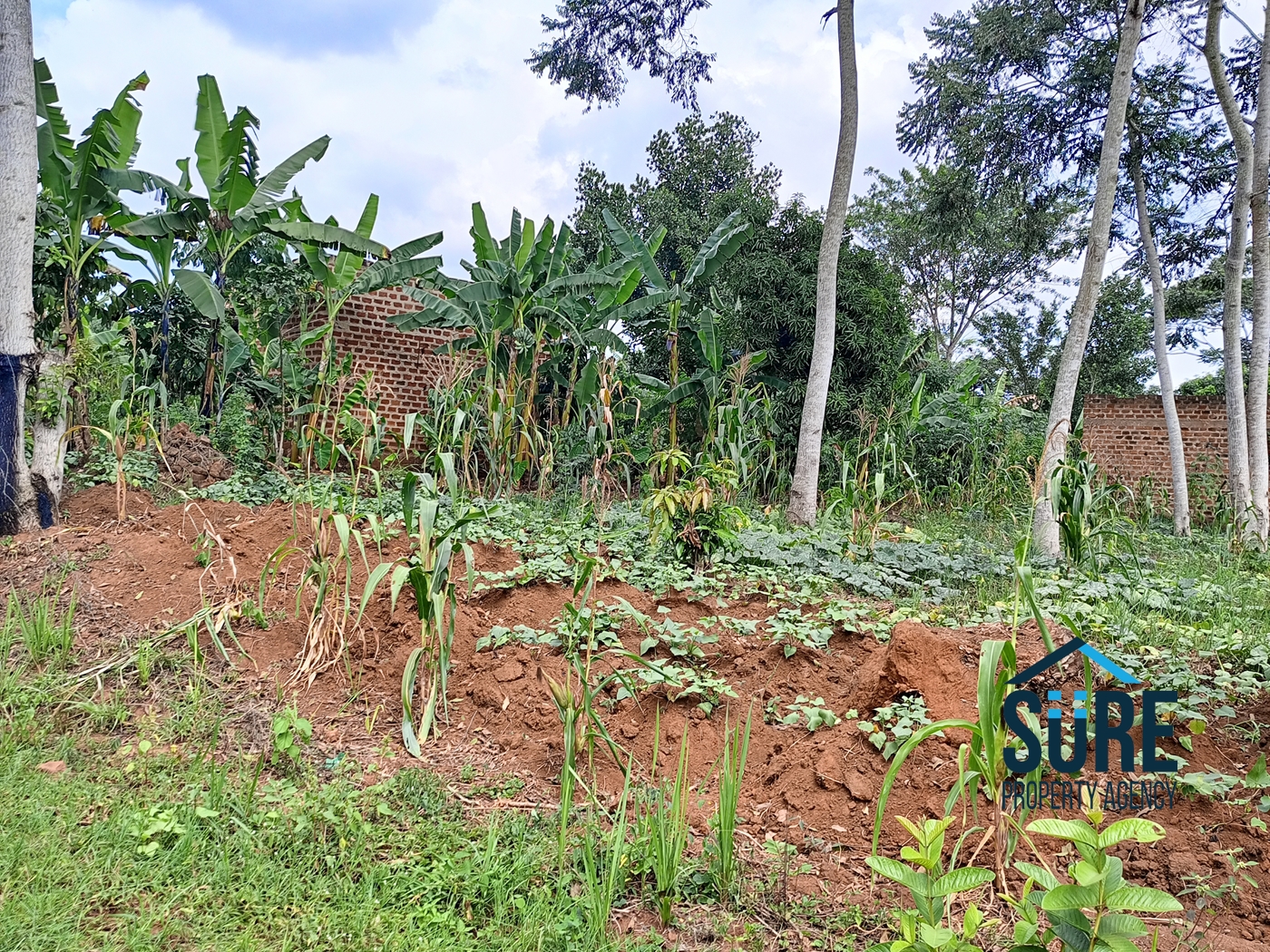 Commercial Land for sale in Bulami Luweero