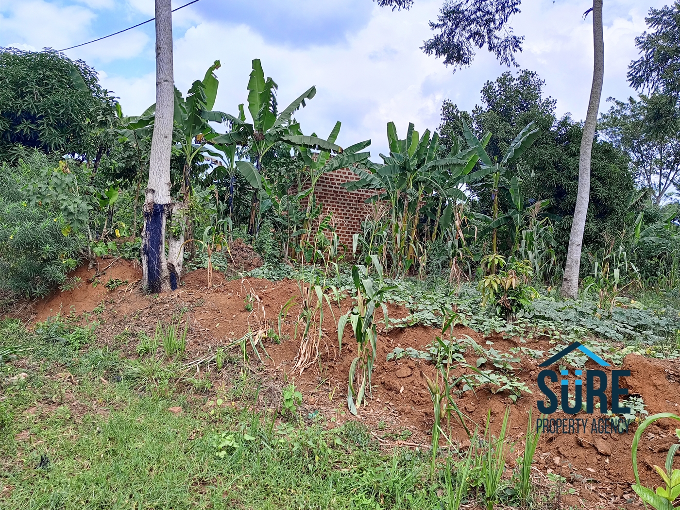 Commercial Land for sale in Bulami Luweero