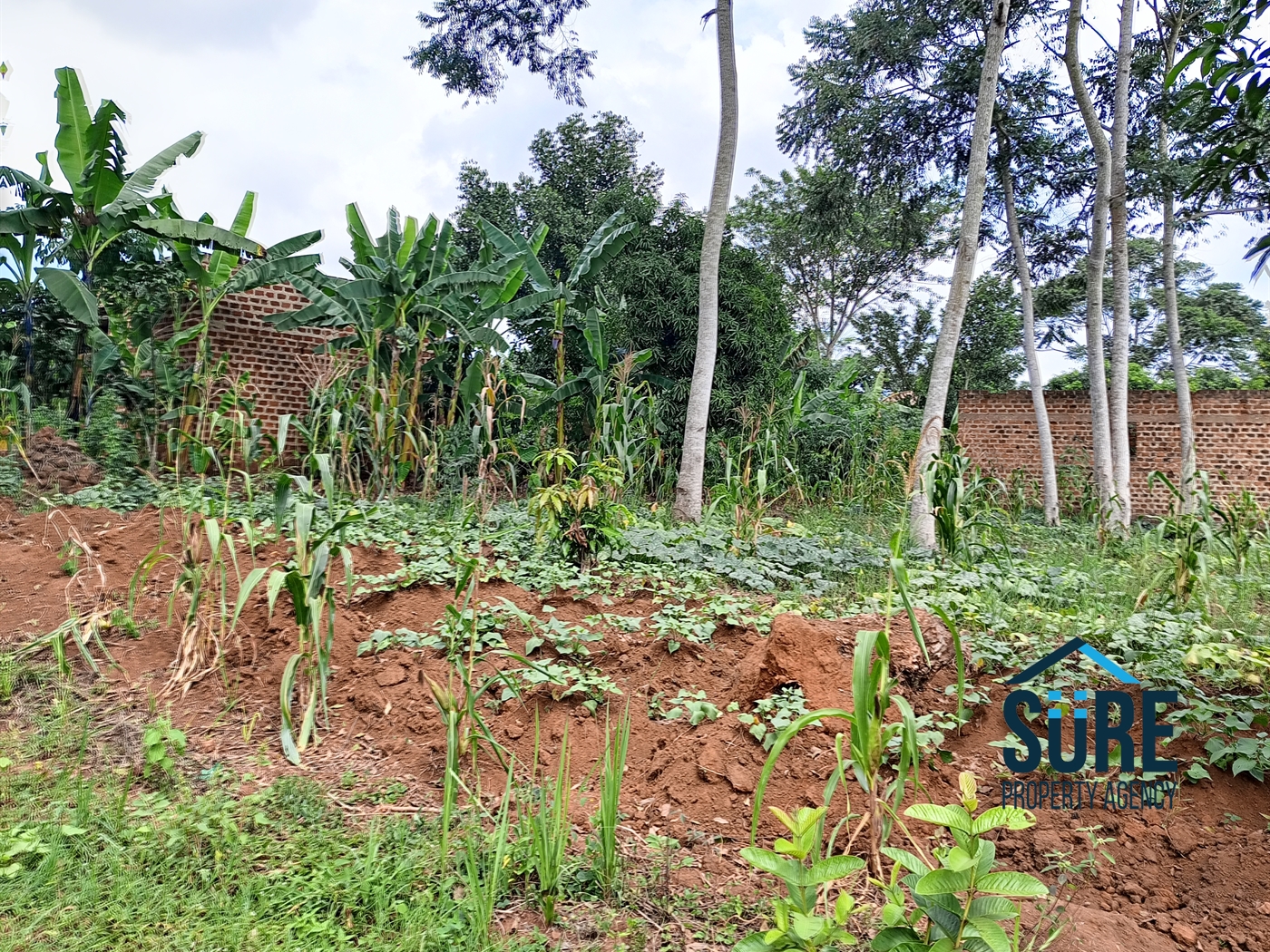 Commercial Land for sale in Bulami Luweero