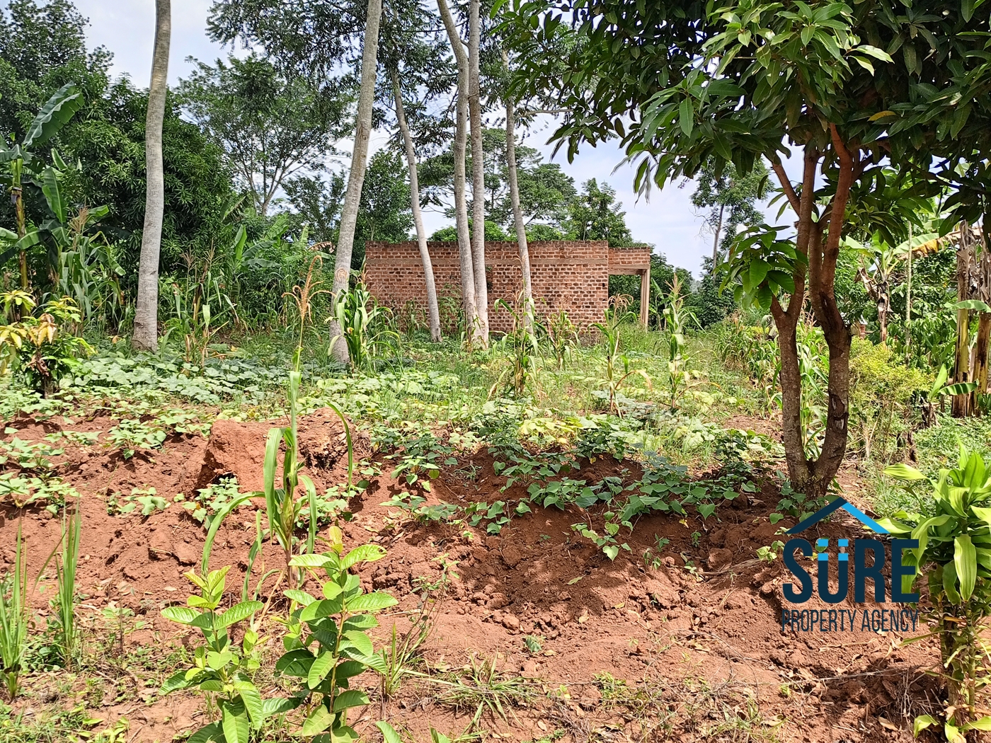 Commercial Land for sale in Bulami Luweero