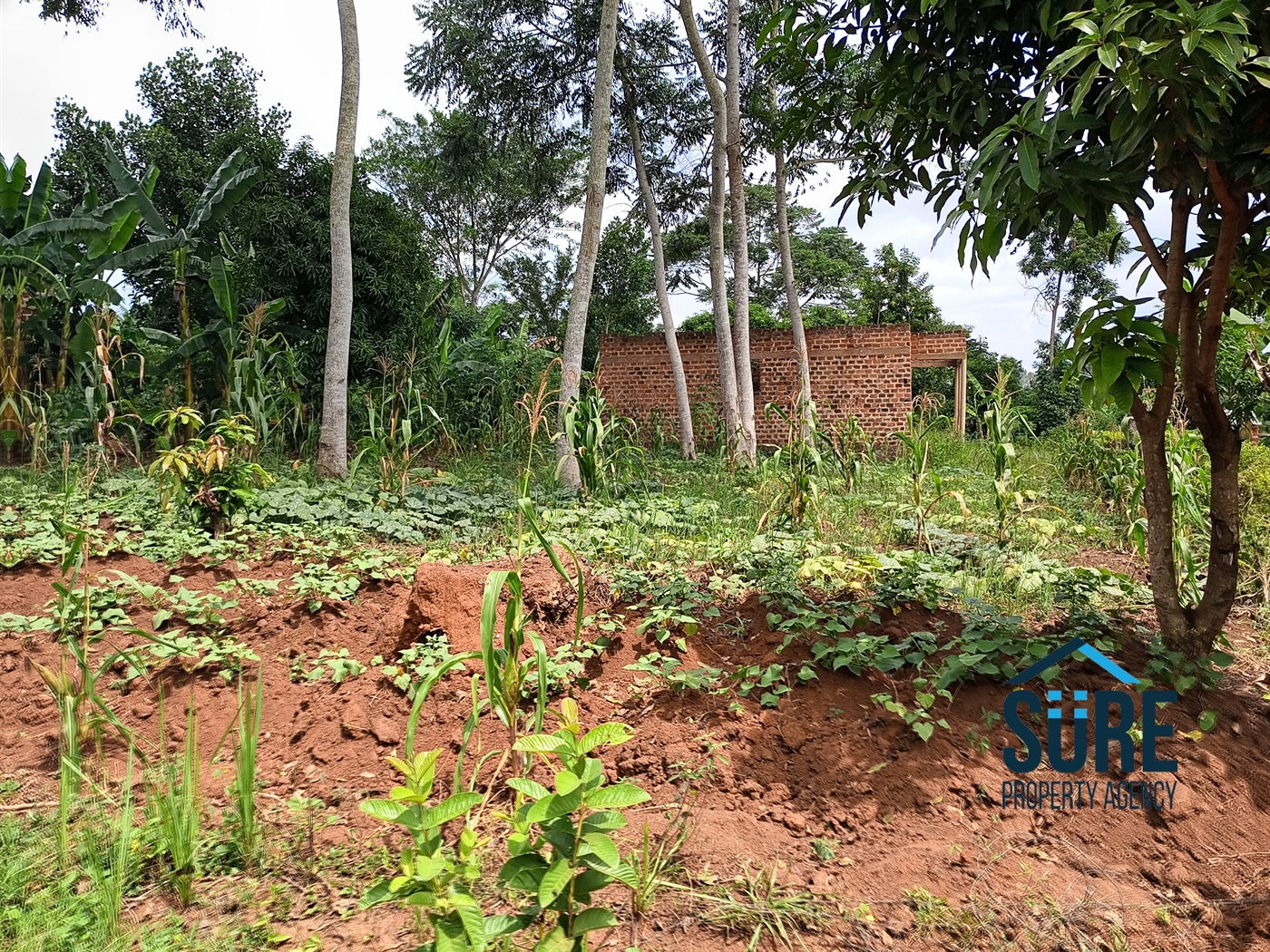 Commercial Land for sale in Bulami Luweero