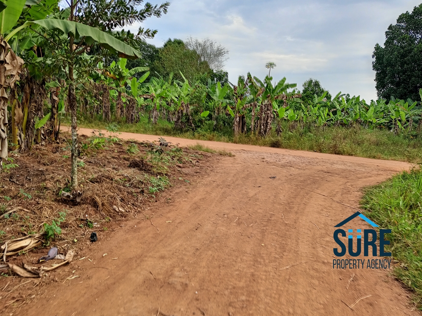 Commercial Land for sale in Bulami Luweero