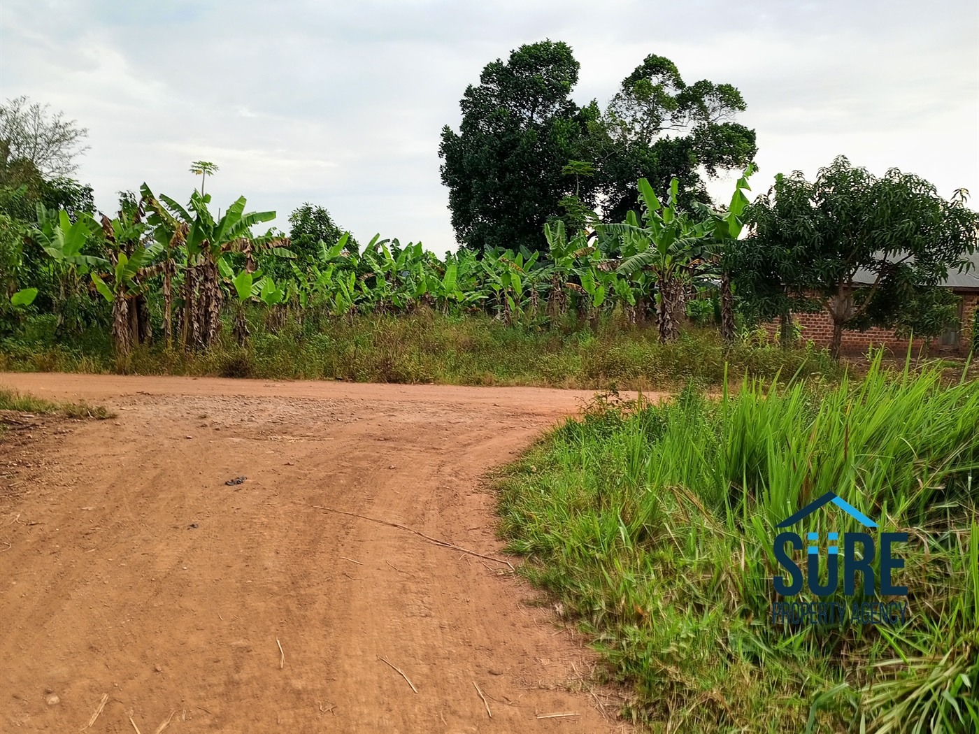 Commercial Land for sale in Bulami Luweero