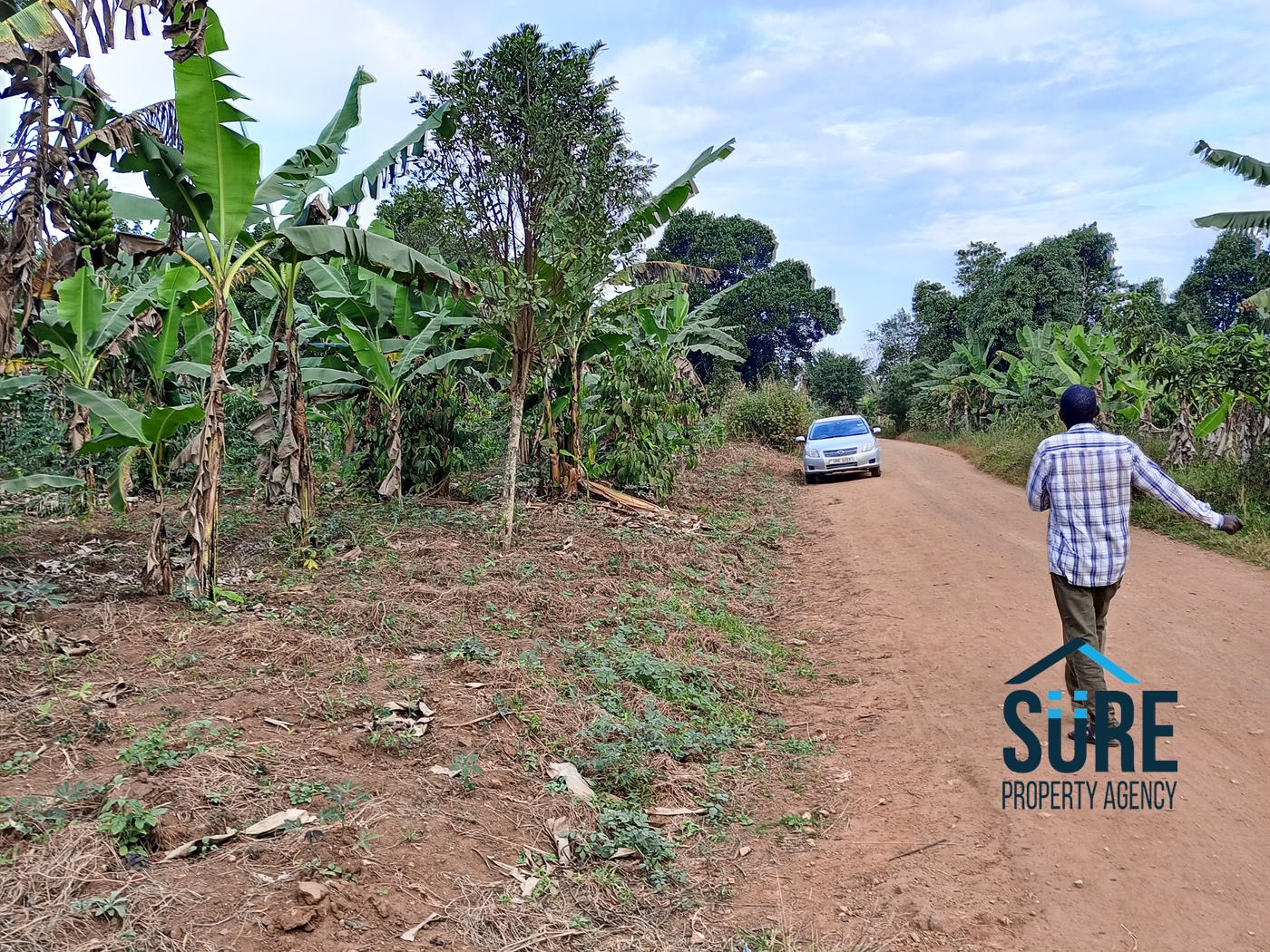 Commercial Land for sale in Bulami Luweero