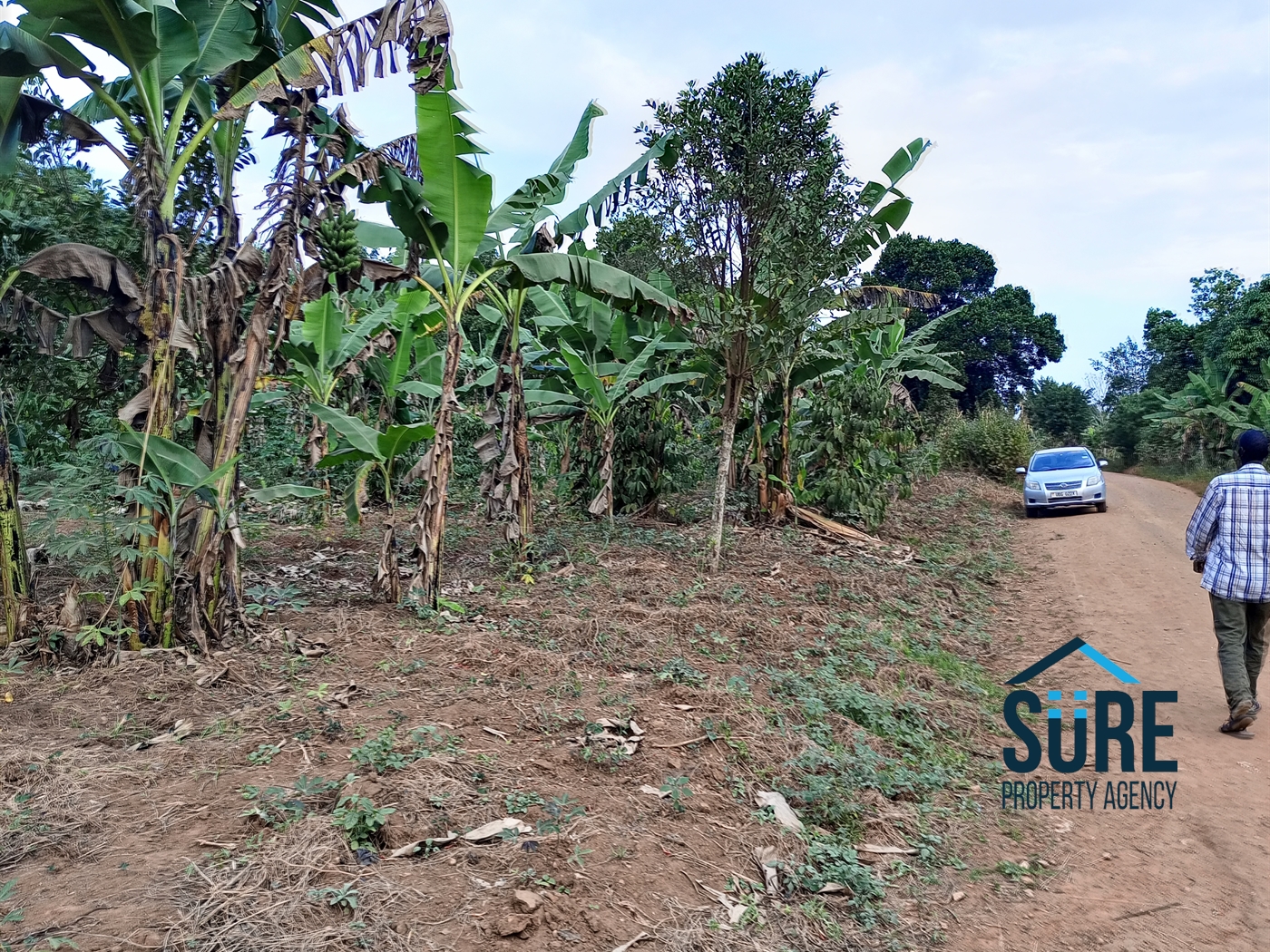 Commercial Land for sale in Bulami Luweero