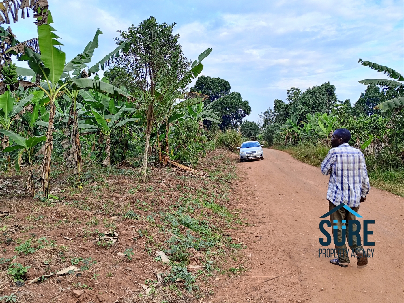 Commercial Land for sale in Bulami Luweero