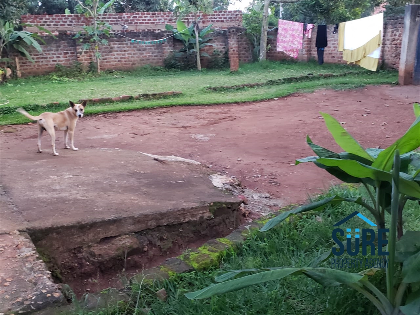 Bungalow for sale in Nakweelo Wakiso