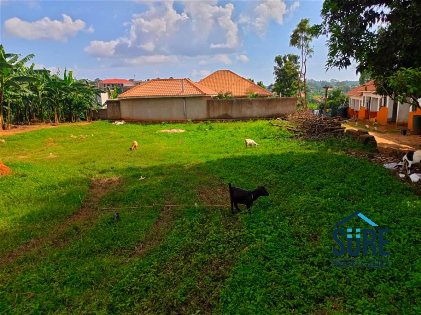 Commercial Land for sale in Sonde Wakiso