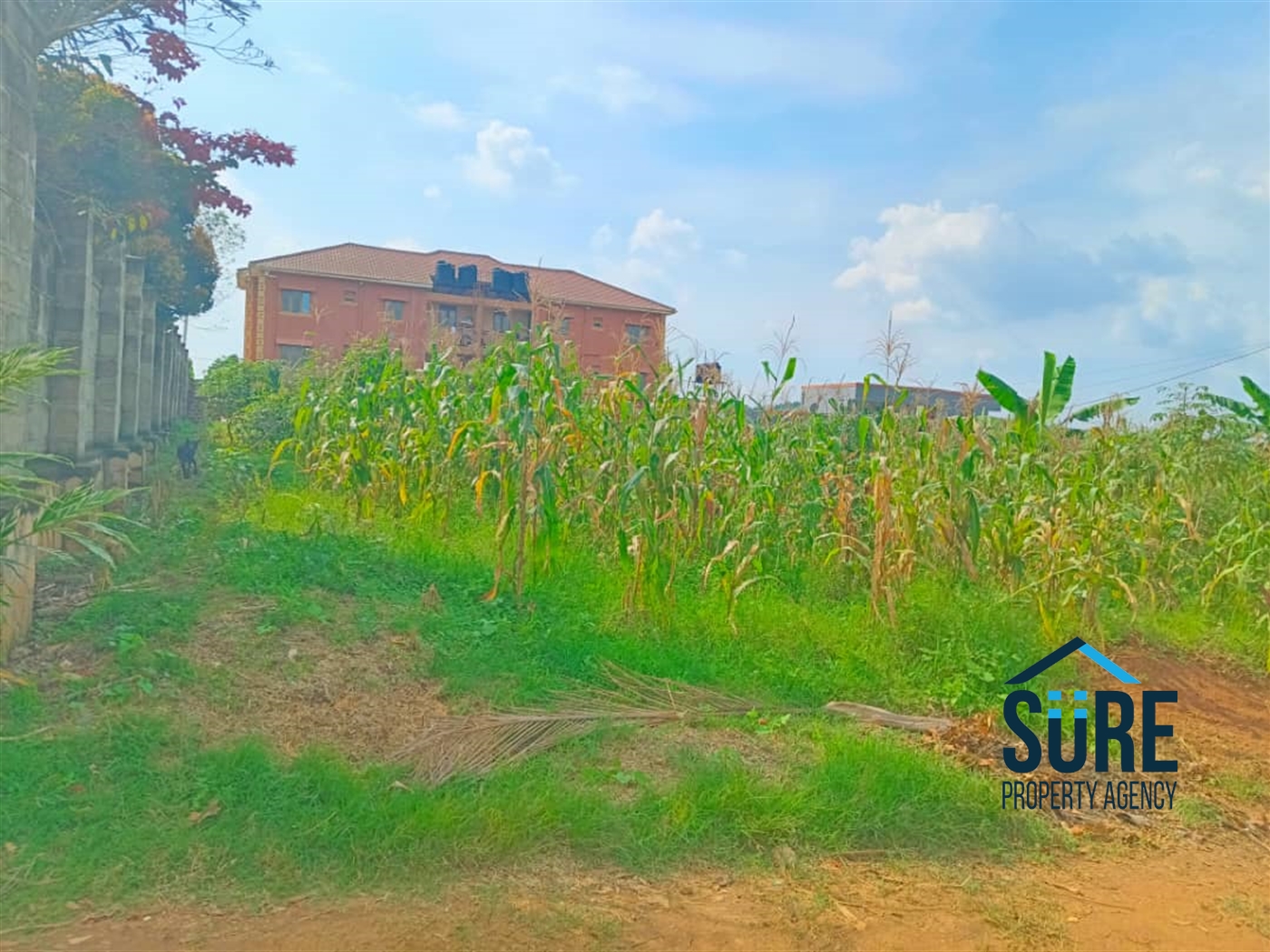 Commercial Land for sale in Bajjo Wakiso