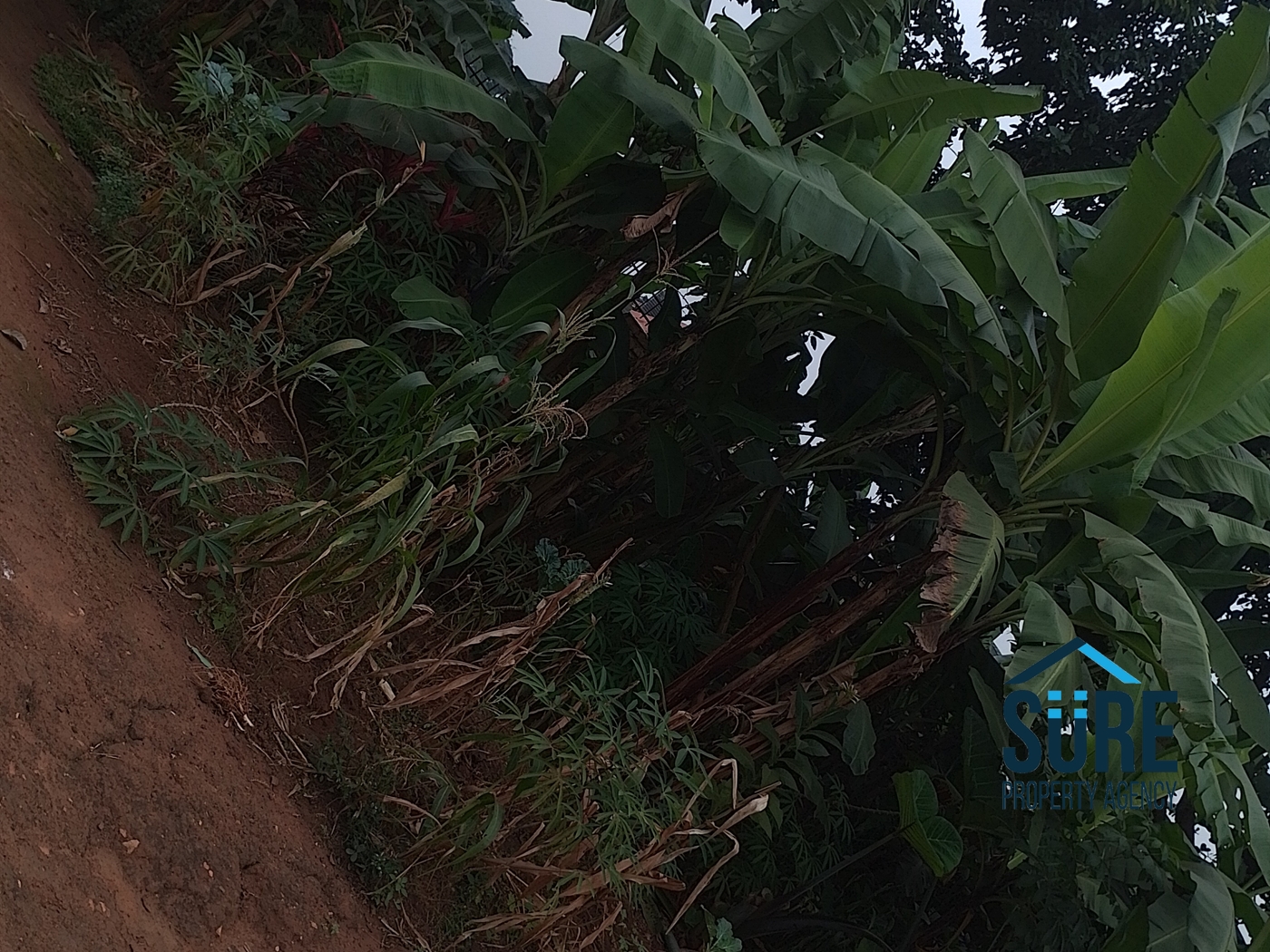 Residential Land for sale in Seeta Wakiso