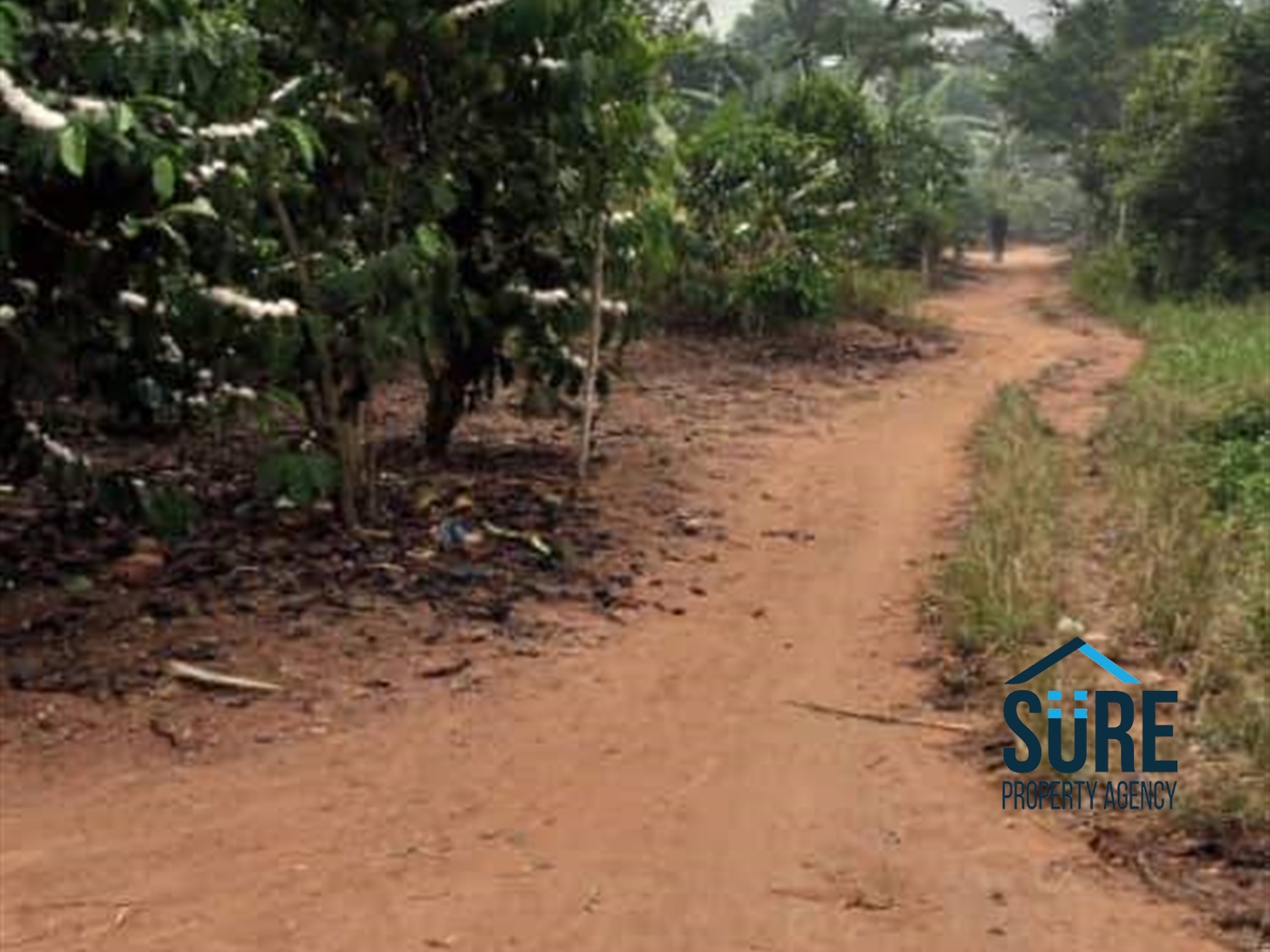 Residential Land for sale in Ziloobwe Wakiso