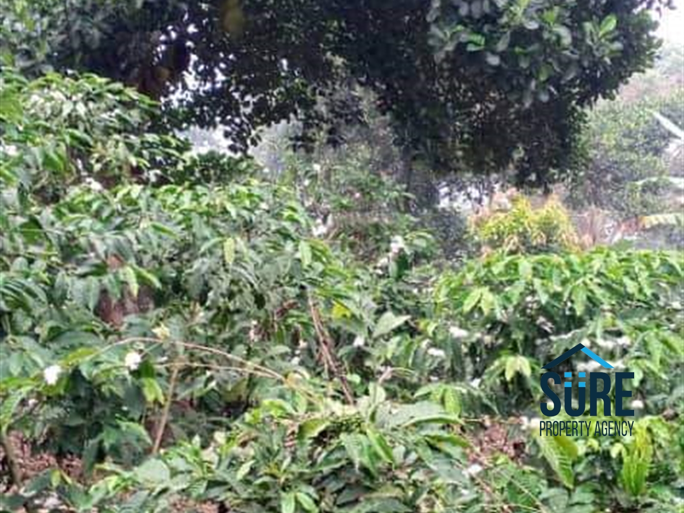 Residential Land for sale in Ziloobwe Wakiso