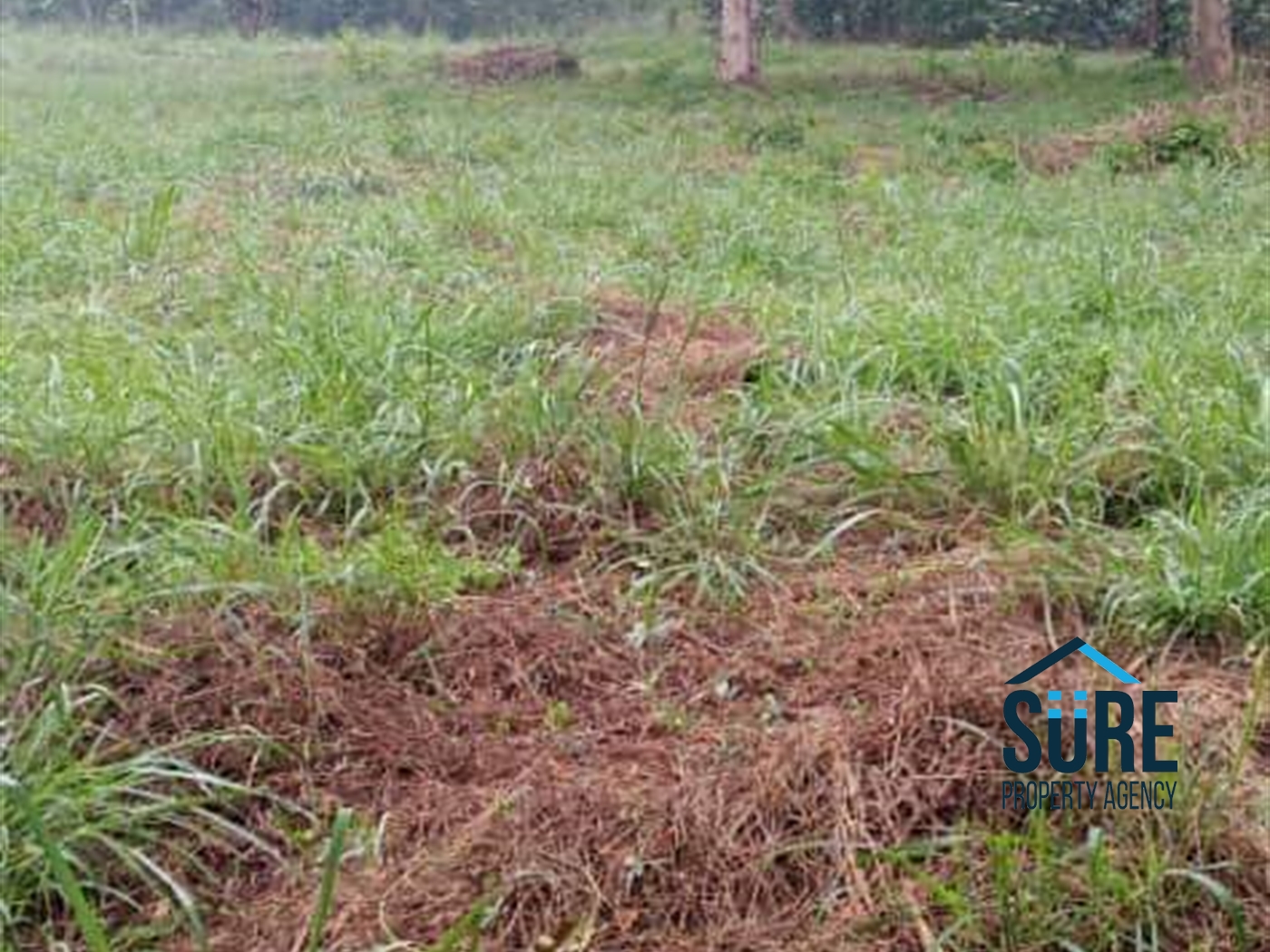 Residential Land for sale in Ziloobwe Wakiso