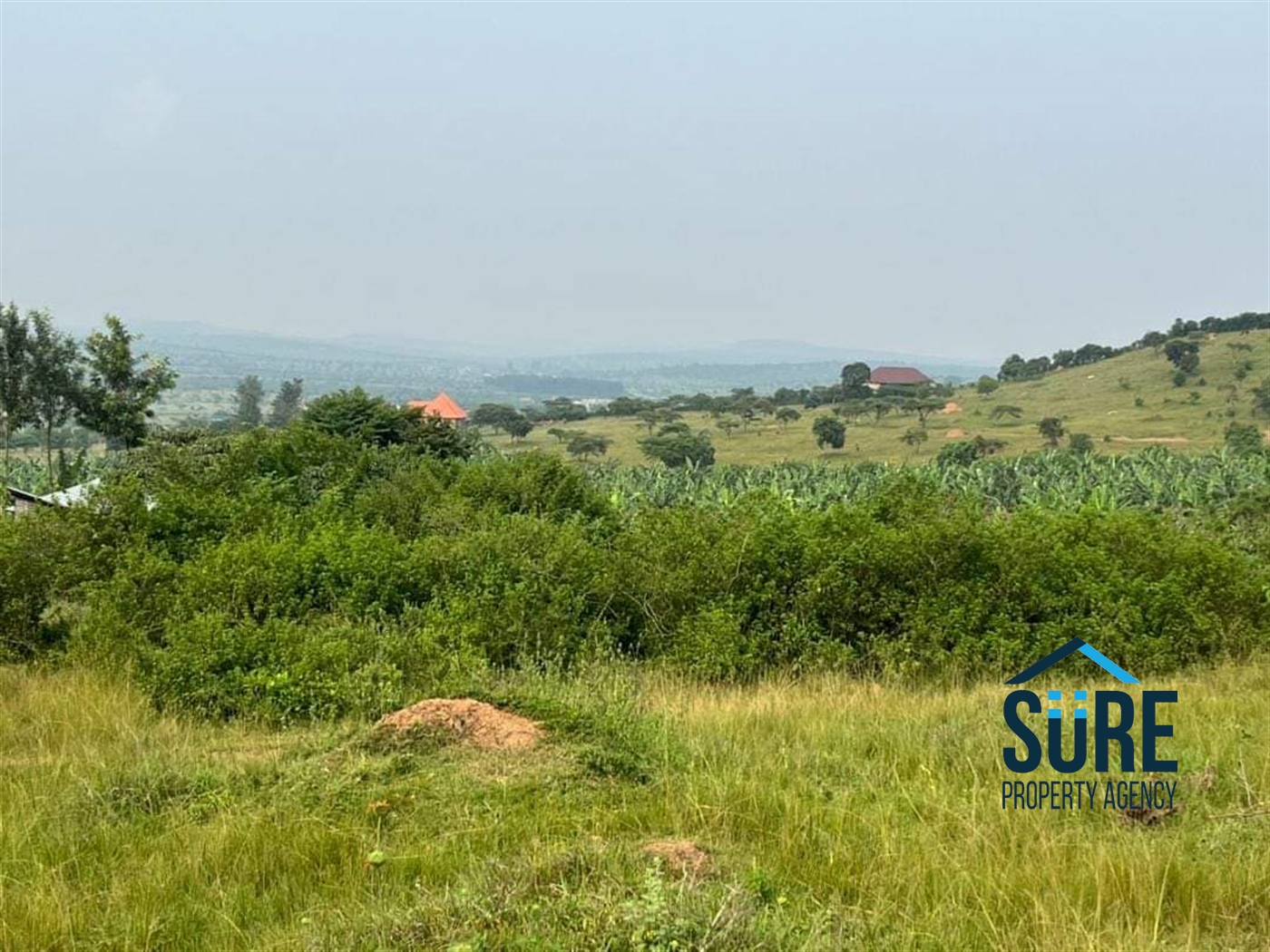 Residential Land for sale in Ssanga Wakiso