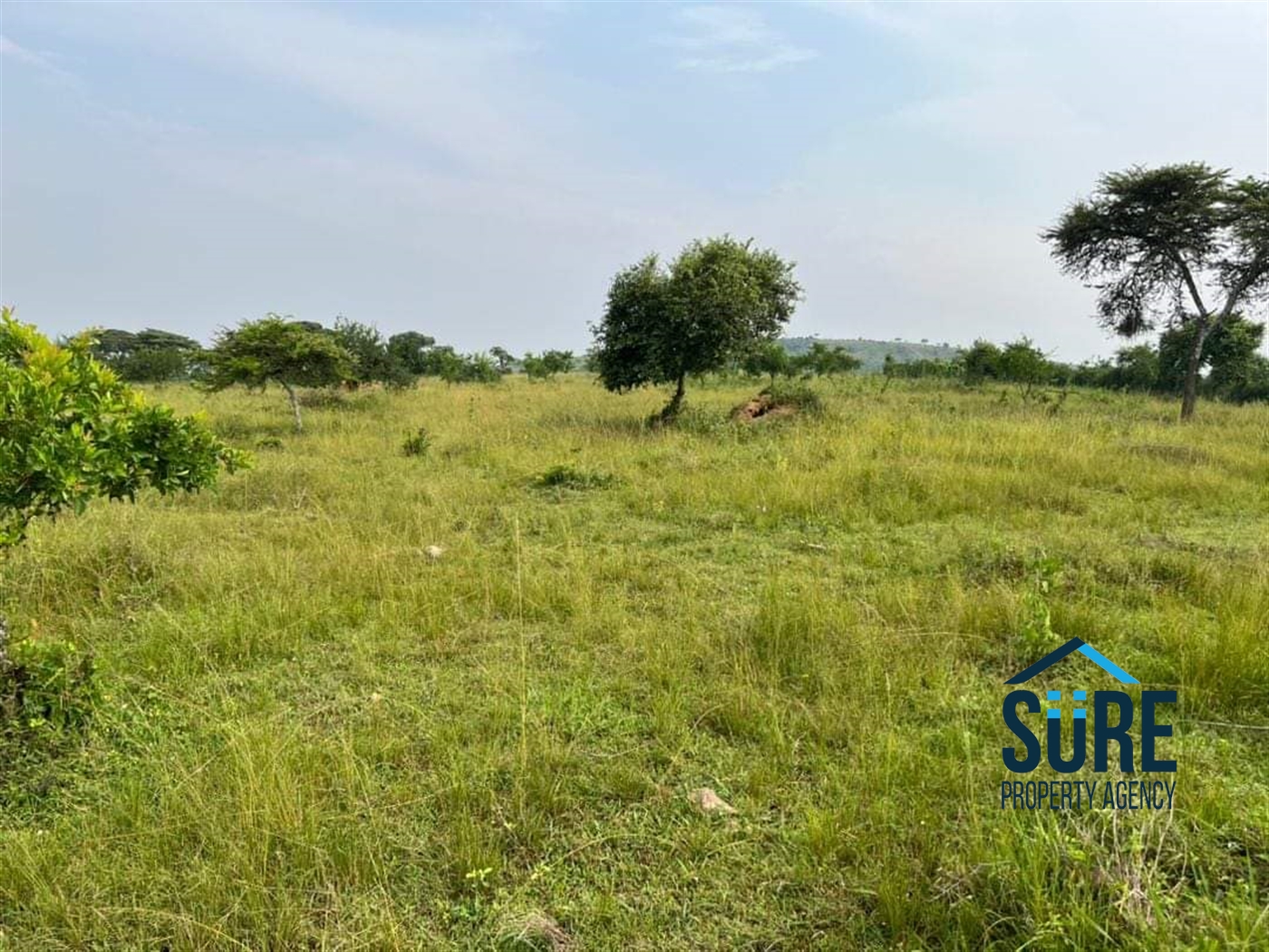 Residential Land for sale in Ssanga Wakiso