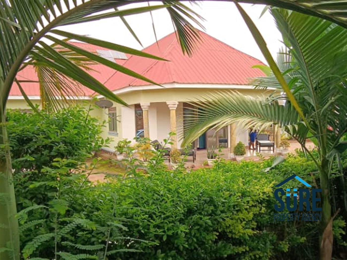 Bungalow for sale in Namulonge Wakiso