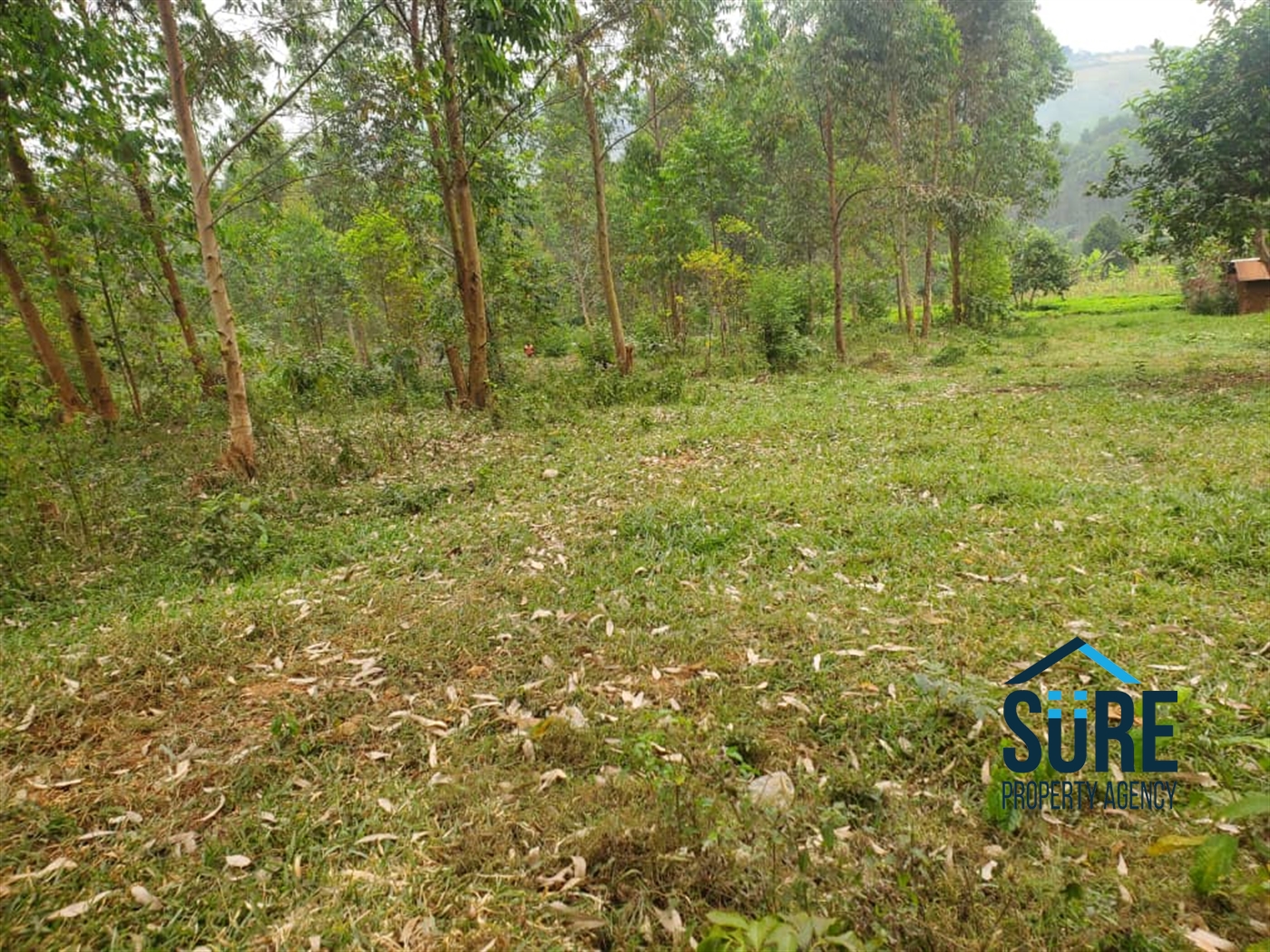 Farm for sale in Kasamba Kyenjojo