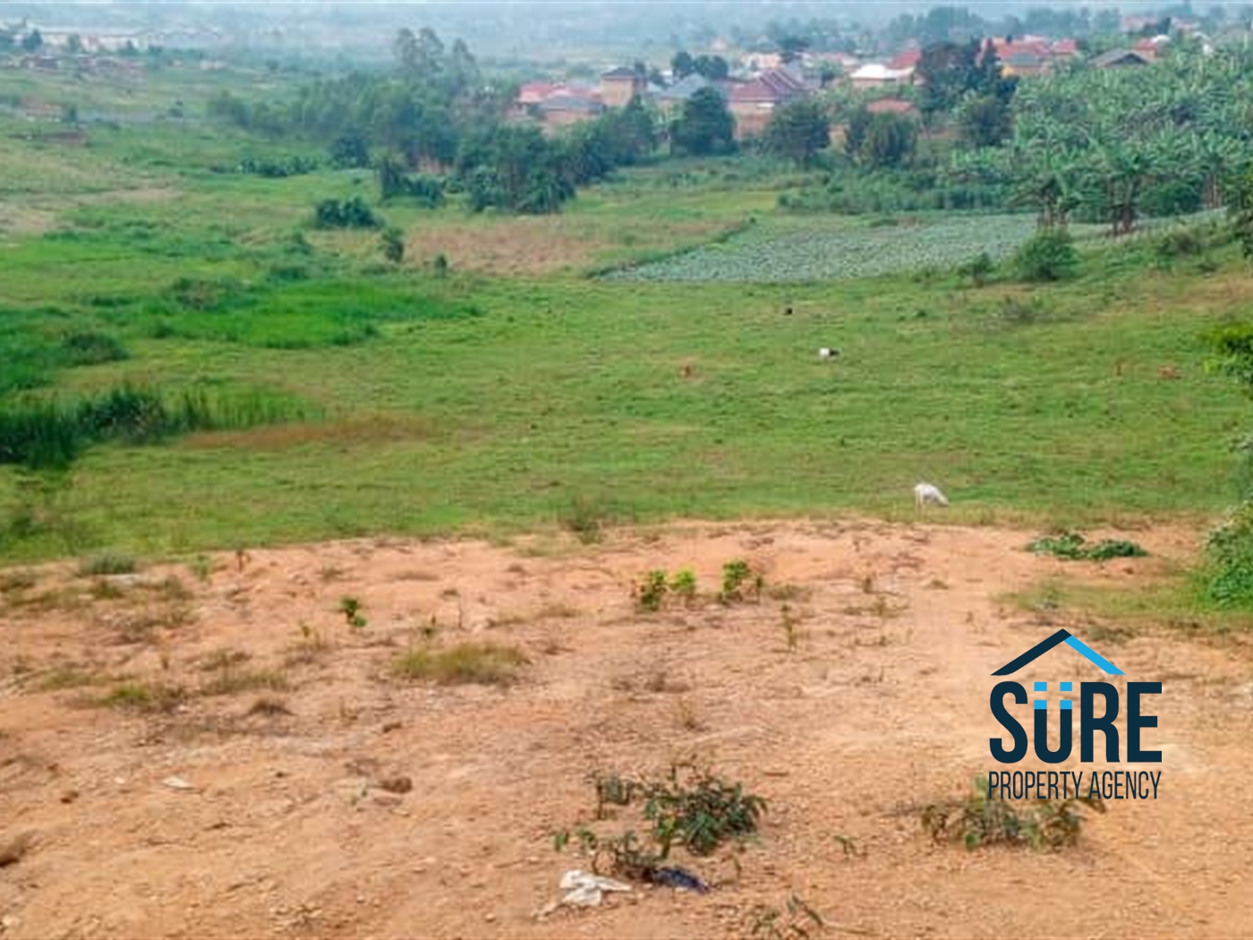 Commercial Land for sale in Matugga Wakiso